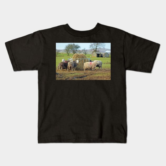 Herwick Sheep having their lunch... Kids T-Shirt by Furtographic